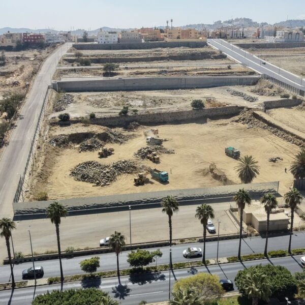 WhatsApp Image 2026 02 03 at 3 28 09 PM 600x600