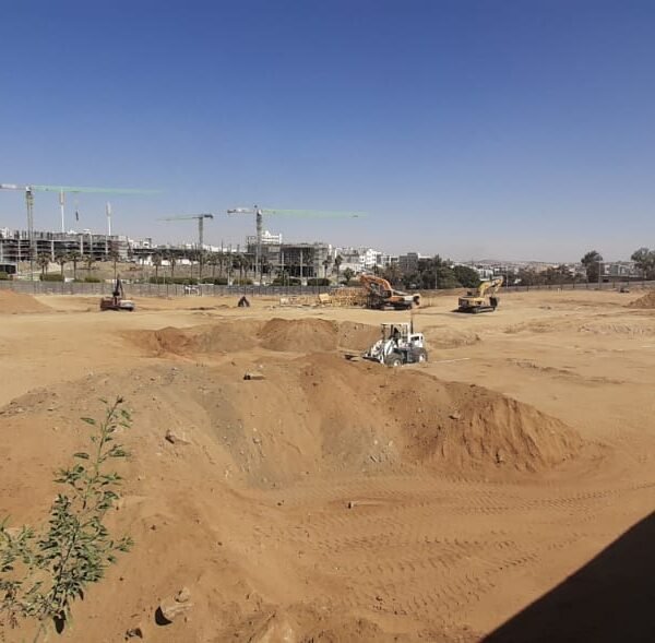 WhatsApp Image 2026 02 03 at 3 28 16 PM 1 600x589