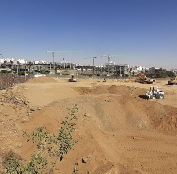 WhatsApp Image 2026 02 03 at 3 28 18 PM 600x589